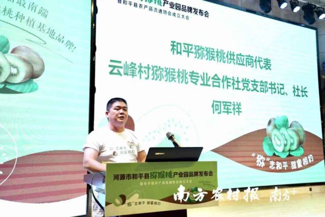 云峰村獼猴桃專業合作社黨支部書記、社長何軍祥