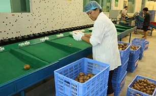 機器人工雙重篩選