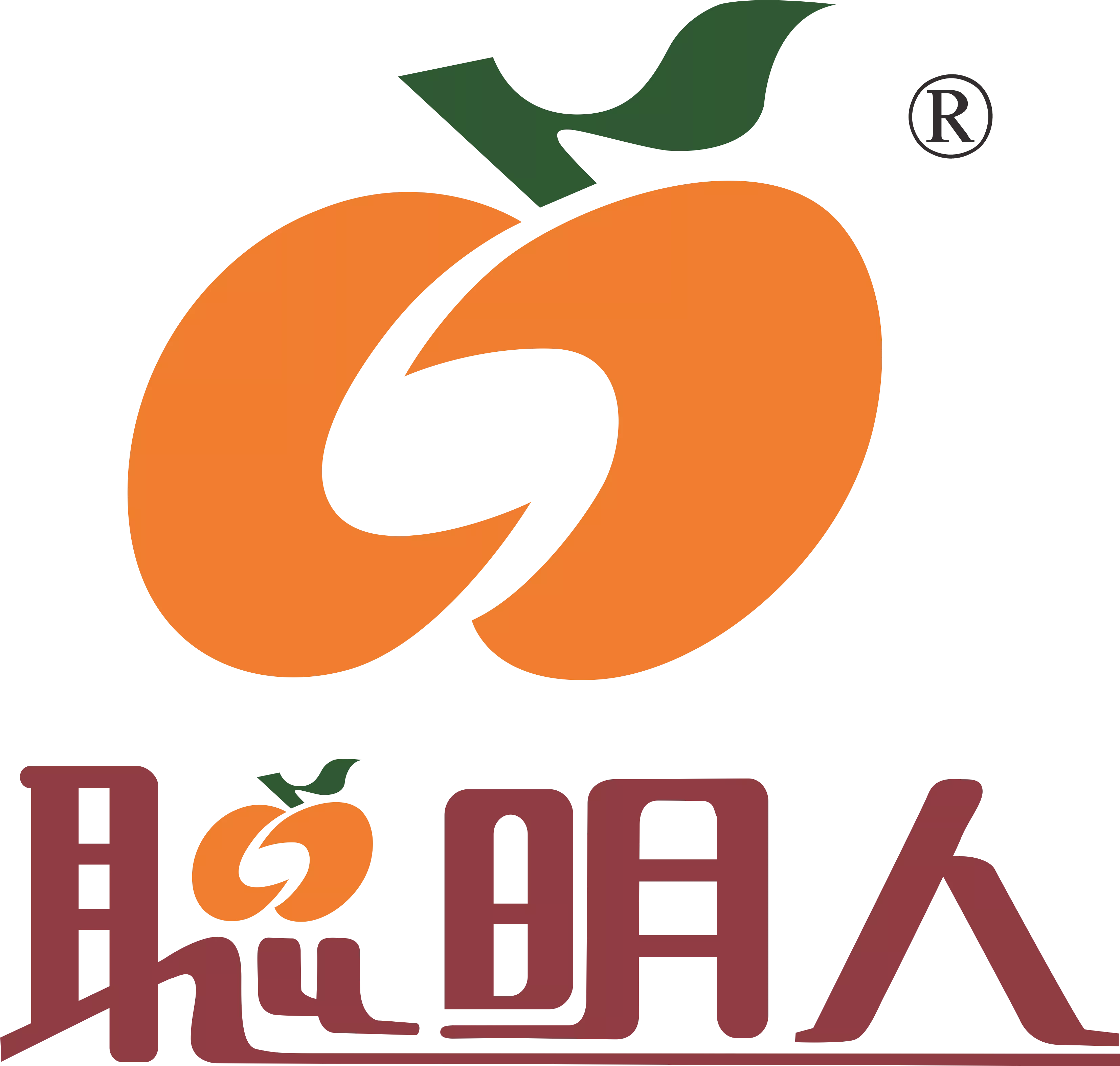 广东聪明人集团有限公司