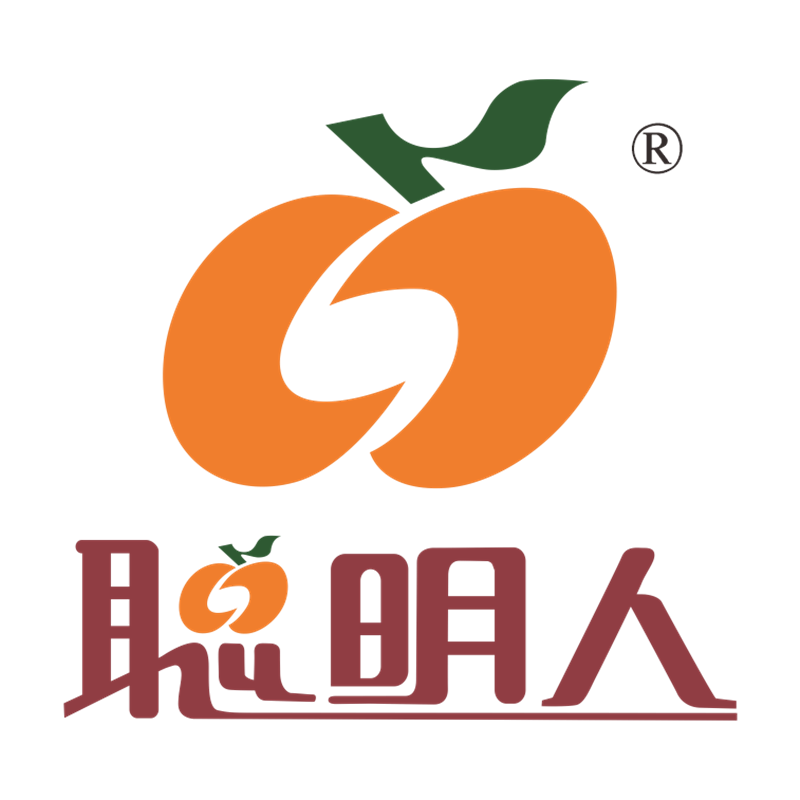 广东聪明人集团有限公司